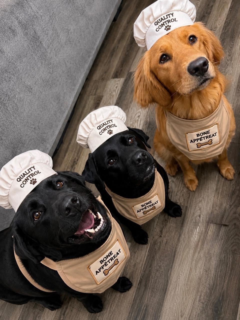 Willow, Pepper and Dinger, the Bone Appétreat quality-control team, in their chef hats and Bone Appétreat bandanas